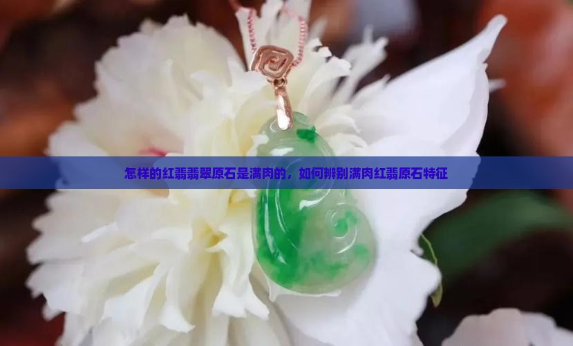 怎样的红翡翡翠原石是满肉的