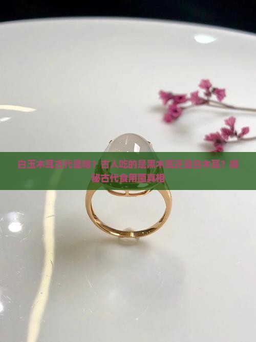 白玉木耳古代是啥