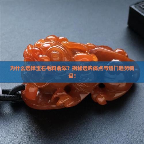 玉石毛料翡翠