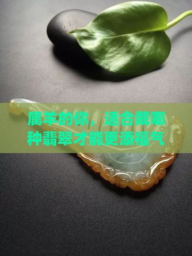 属羊适合带什么翡翠