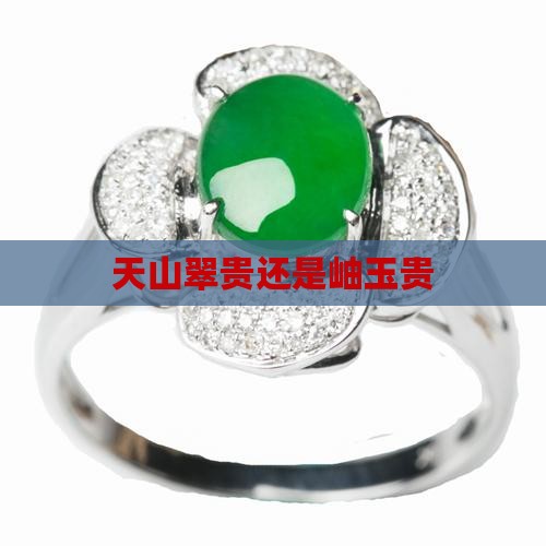 天山翠贵还是岫玉贵