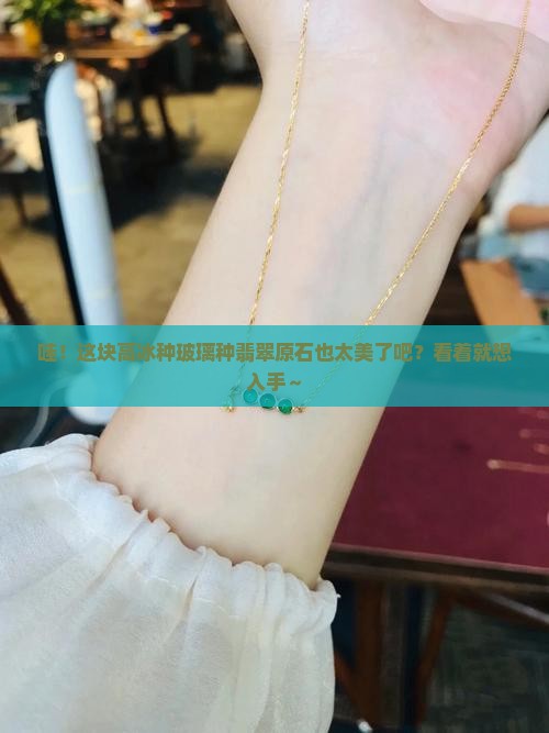 高冰种玻璃种翡翠原石