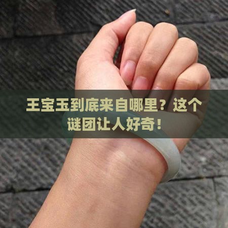 王宝玉是哪儿的人