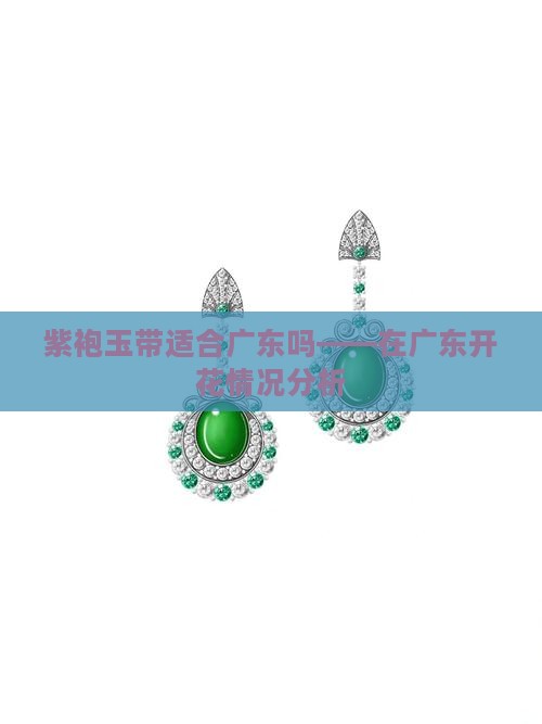紫袍玉带适合广东吗