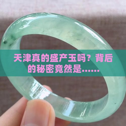天津盛产玉吗