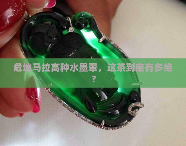 危地马拉高种水墨翠 危地马拉高种水墨翠