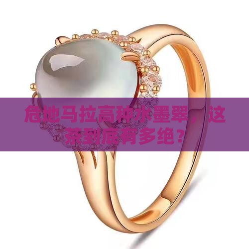 危地马拉高种水墨翠 危地马拉高种水墨翠