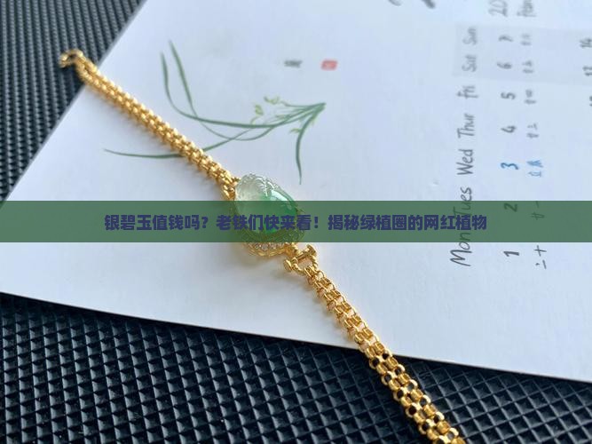 银碧玉值钱吗