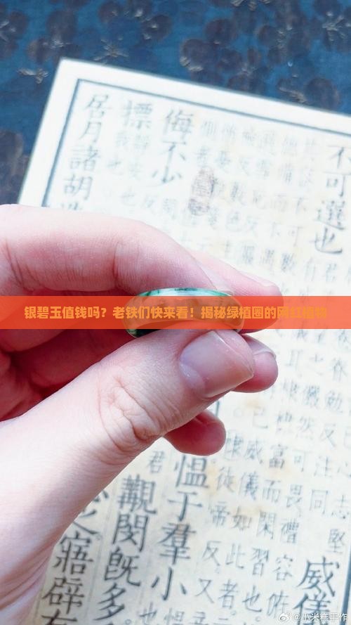 银碧玉值钱吗