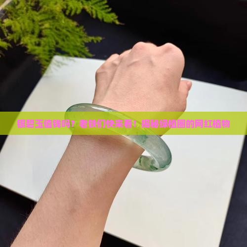 银碧玉值钱吗