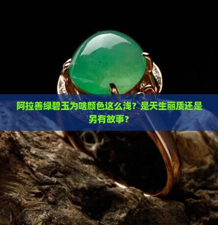 阿拉善绿碧玉颜色浅