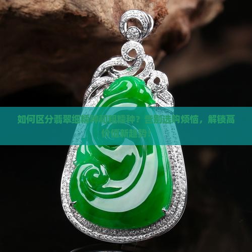 区分翡翠细糯种和粗糯种