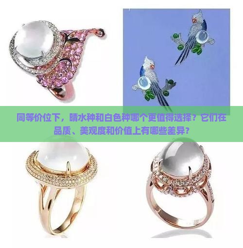 同等价位晴水种好还是白色种好