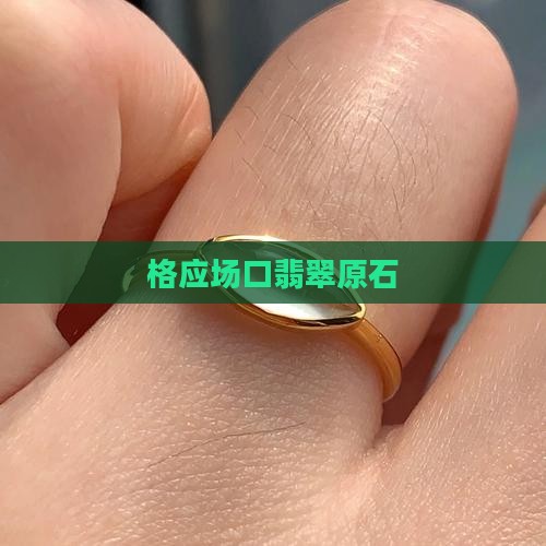 翡翠格应角