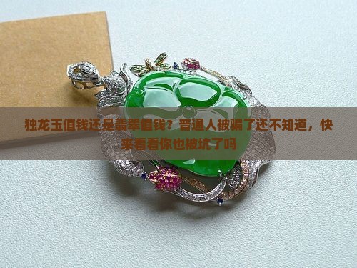 独龙玉值钱还是翡翠值钱