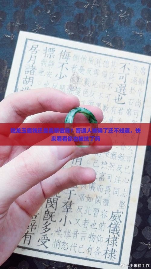 独龙玉值钱还是翡翠值钱