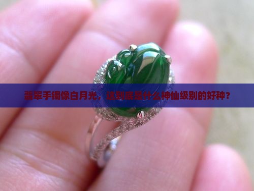 翡翠手镯白月光一般什么种
