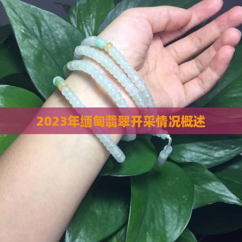 2023年缅甸翡翠开釆多么
