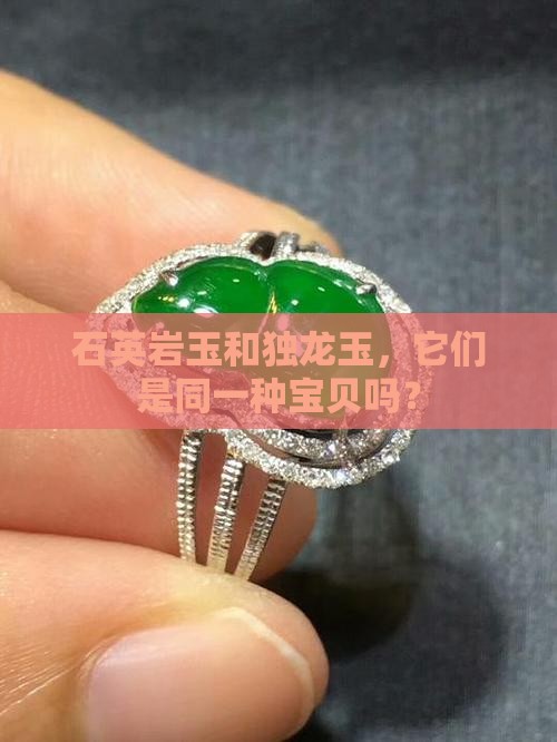 石英岩玉是独龙玉吗