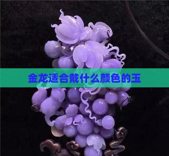 金龙带什么颜色的玉好