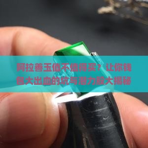 阿拉善玉值不值得买
