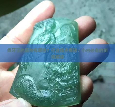 象牙玉的品种