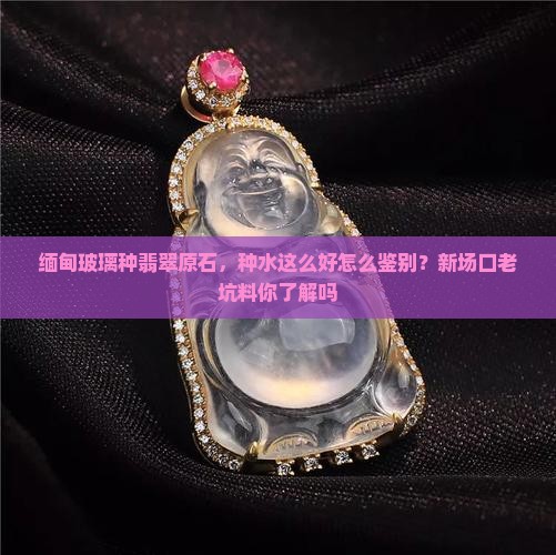 缅甸玻璃种翡翠原石