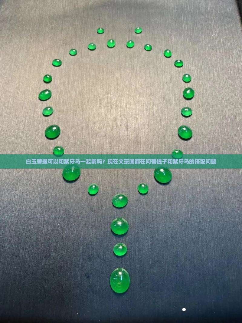 白玉菩提可以和紫牙乌一起戴吗