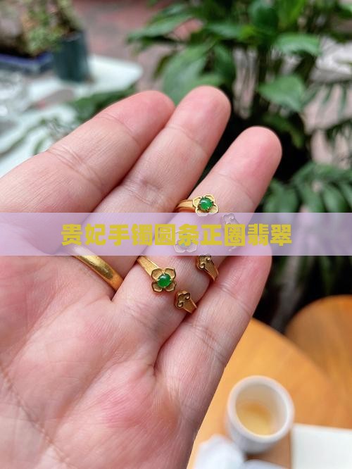 贵妃圆条正圈