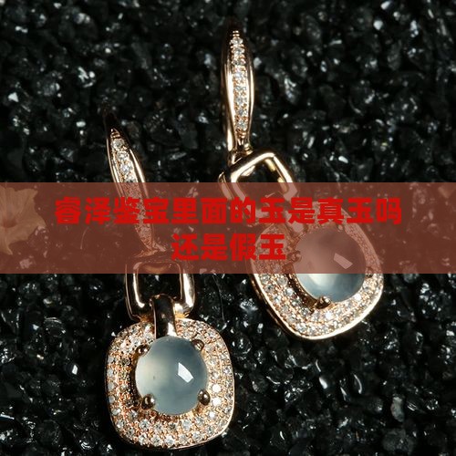 睿泽鉴宝里面的玉是真玉吗