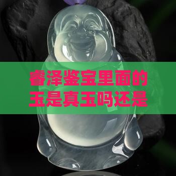 睿泽鉴宝里面的玉是真玉吗