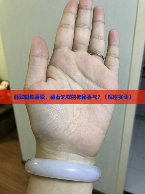 翡翠蝴蝶香囊 翡翠蝴蝶香囊