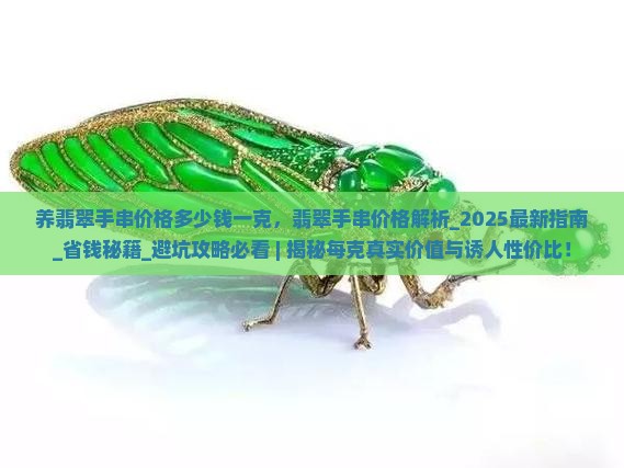 养翡翠手串价格多少钱一克 养翡翠手串价格多少钱一克