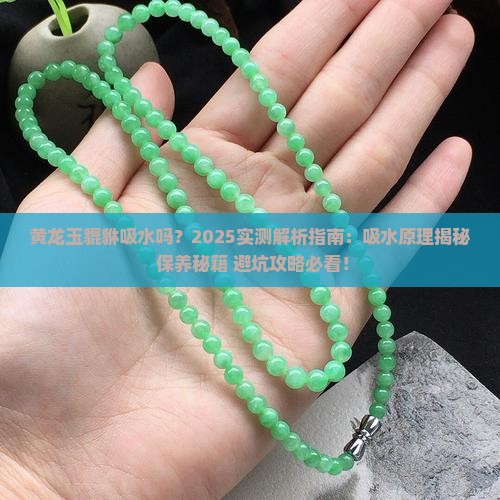 黄龙玉貔貅吸水吗