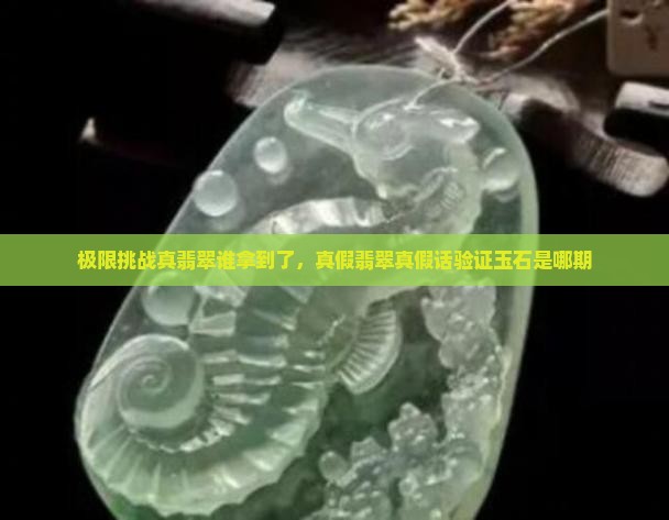 极限挑战真翡翠谁拿到了
