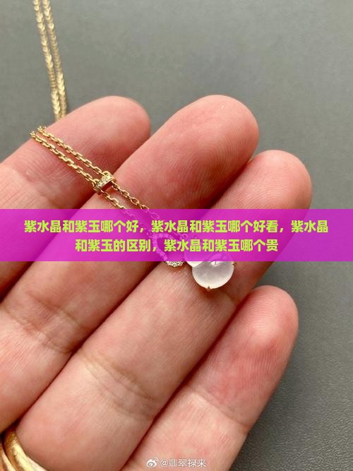 紫水晶和紫玉哪个好
