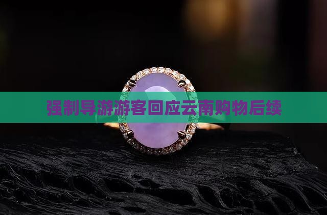 导游强制买翡翠后续