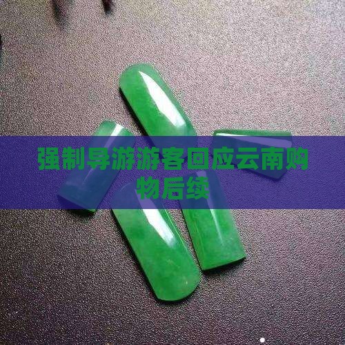 导游强制买翡翠后续