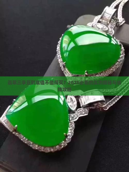 翡翠三季豆