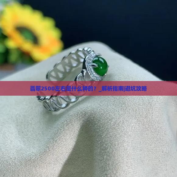 翡翠2500左右是什么种的