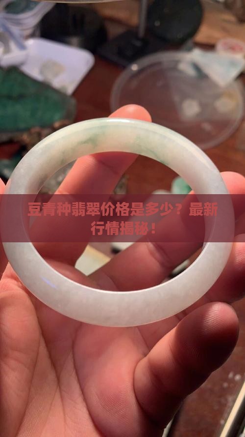 豆青种翡翠价格是多少