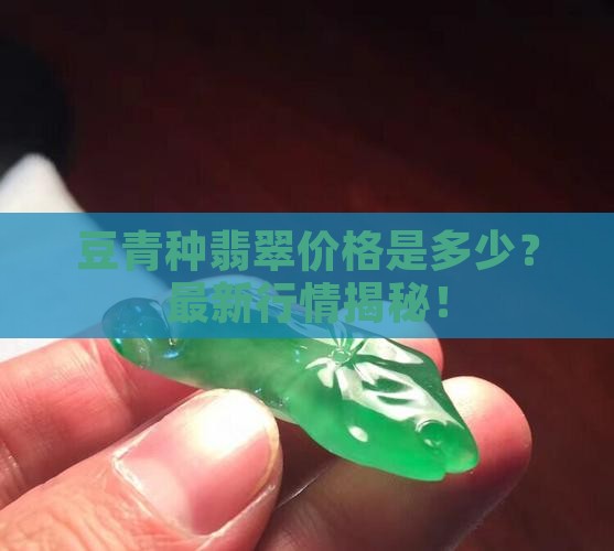 豆青种翡翠价格是多少