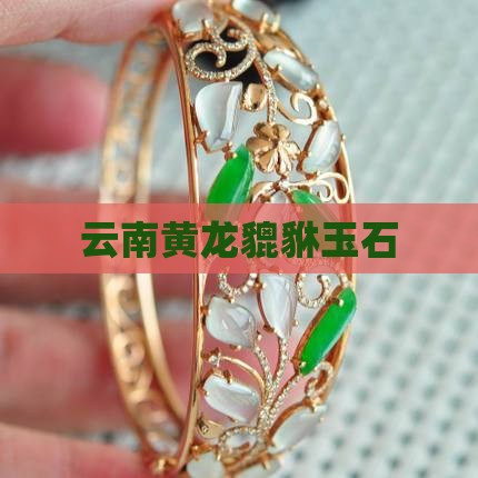 云南貔貅玉石