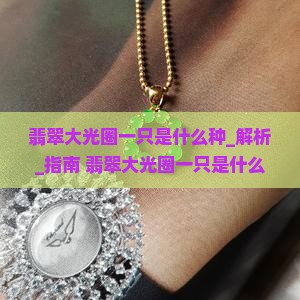 翡翠大光圈一只是什么种
