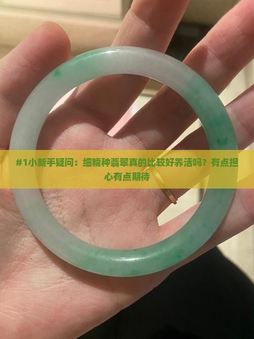 #1小新手疑问：细糯种翡翠真的比较好养活吗？有点担心有点期待