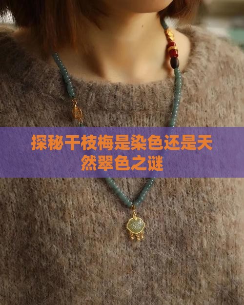 探秘干枝梅是染色还是天然翠色之谜