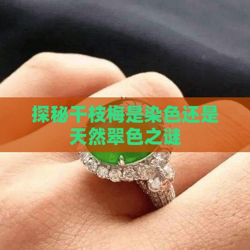 探秘干枝梅是染色还是天然翠色之谜