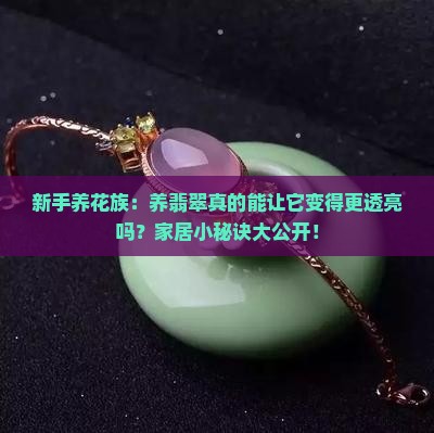 新手养花族：养翡翠真的能让它变得更透亮吗？家居小秘诀大公开！