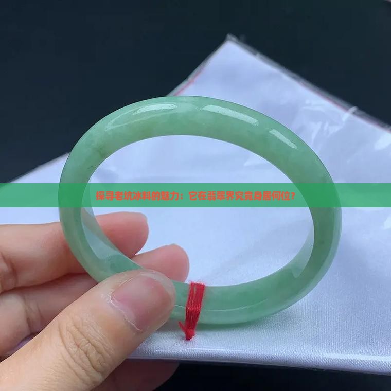 探寻老坑冰料的魅力：它在翡翠界究竟身居何位？