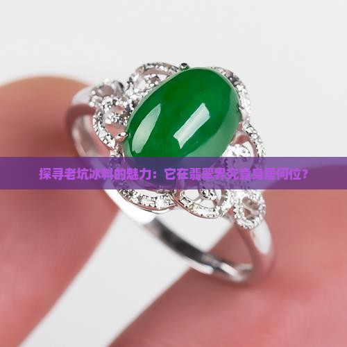 探寻老坑冰料的魅力：它在翡翠界究竟身居何位？